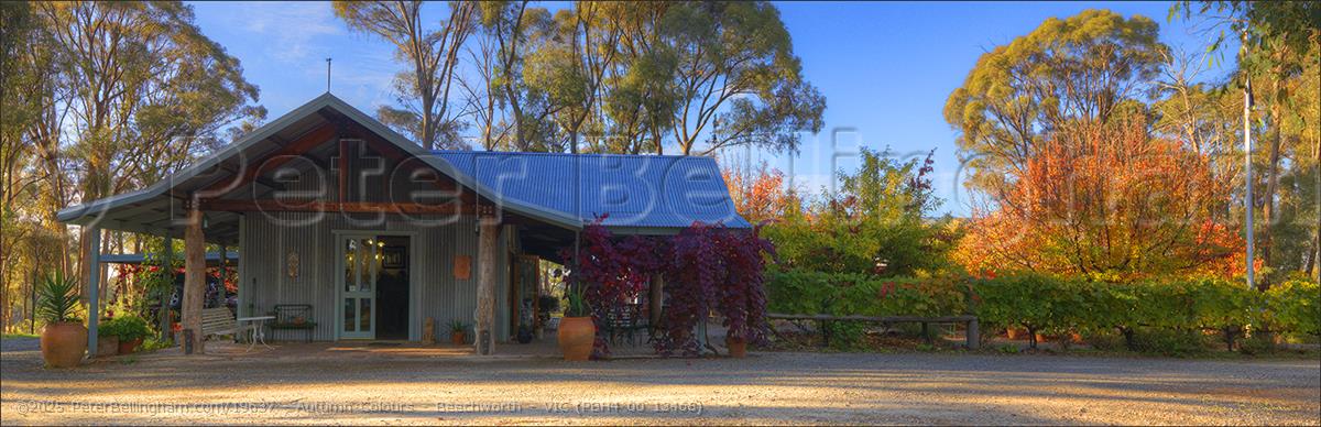 Peter Bellingham Photography Autumn Colours - Beechworth - VIC (PBH4 00 13468)